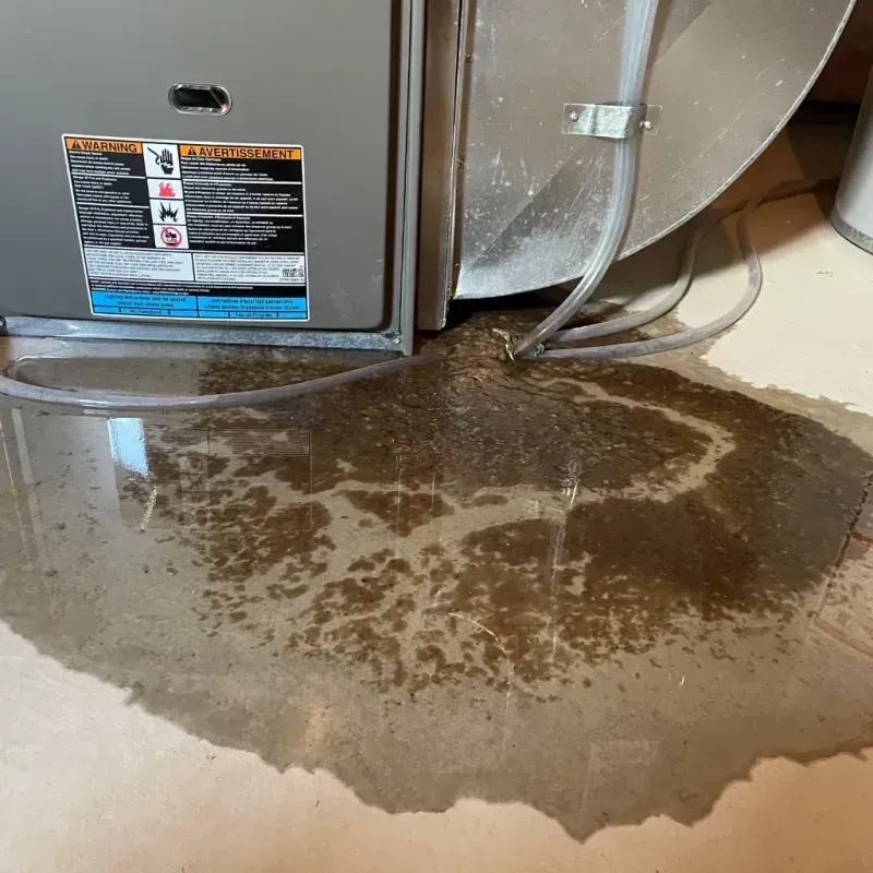 Appliance Leak Cleanup in Henderson, KY